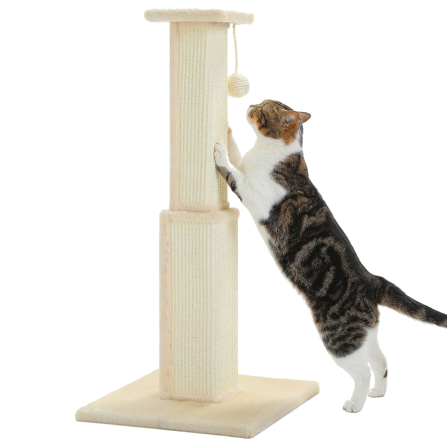 80Cm Cat Scratching Post for Indoor Cats with Natural Sisal Ball Tall Scratcher for Large Cats and Kittens Pet Toys - Joanie B 25