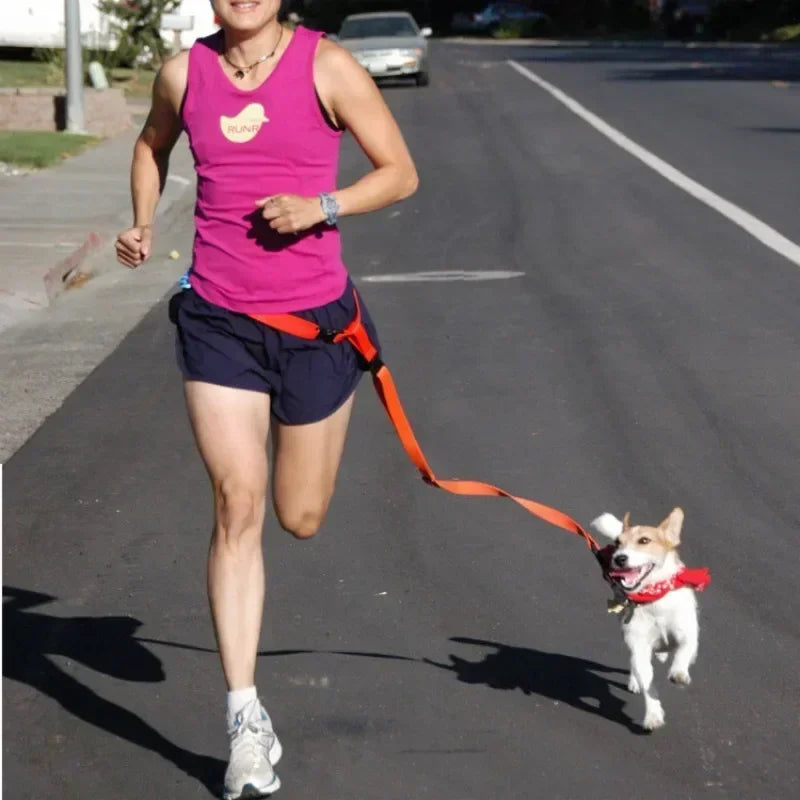 Adjustable Hands Free Dog Leash with Waist Belt and Traction Rope for Running Walking Pets - Joanie B 25