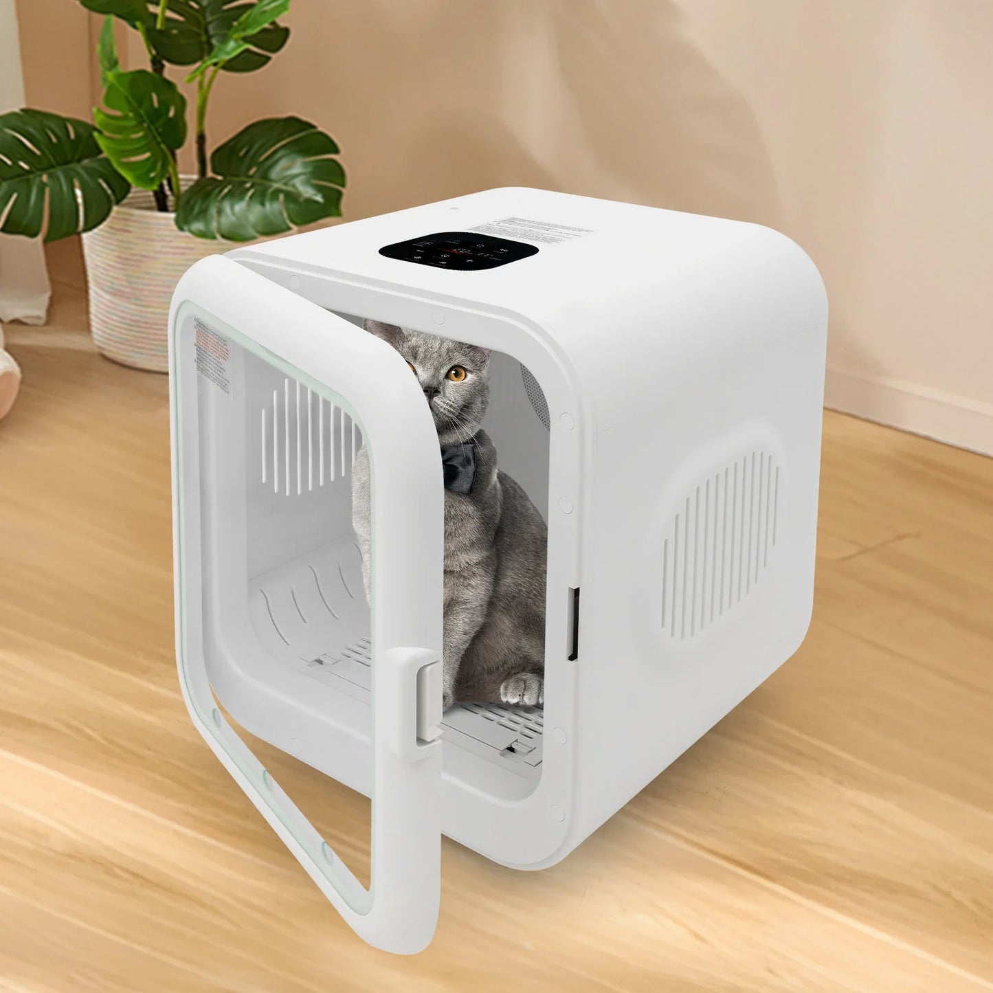 Professional Pet Dryer Box 800W Quiet 35dB Performance