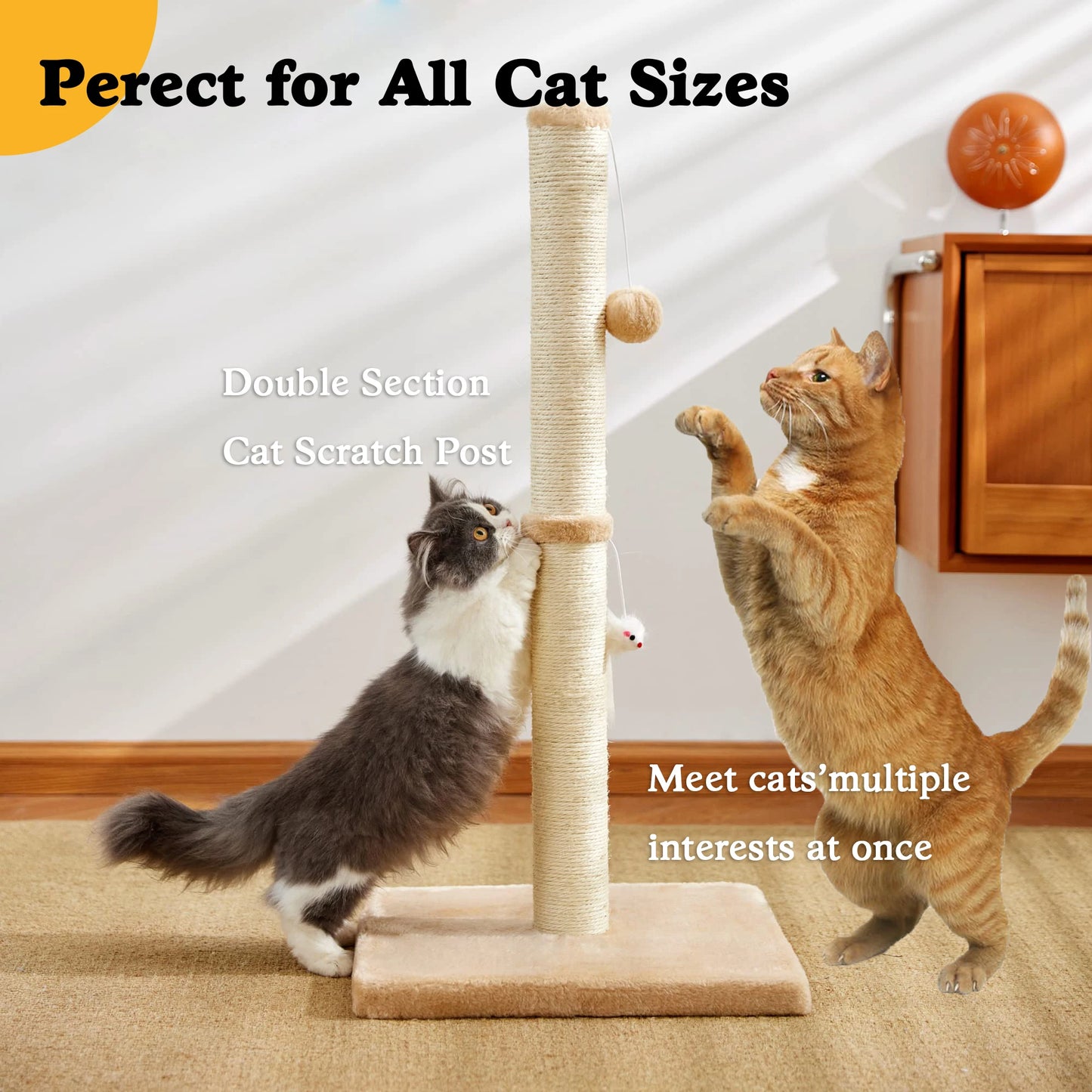 32 Inch Tall Cat Scratching Post for Indoor Cats with Two Hanging Balls and Sisal Rope - Joanie B 25