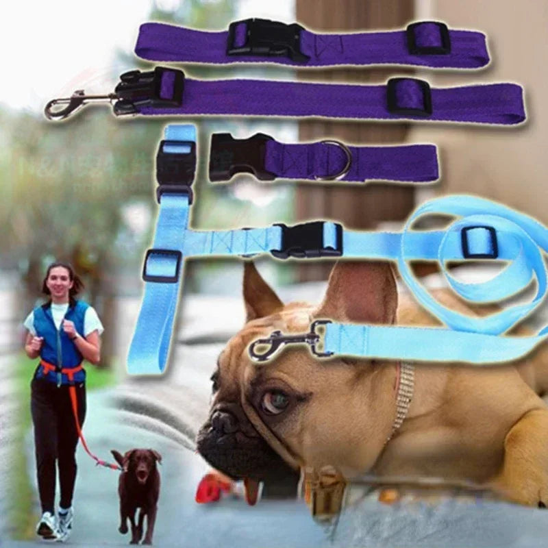 Adjustable Hands Free Dog Leash with Waist Belt and Traction Rope for Running Walking Pets - Joanie B 25