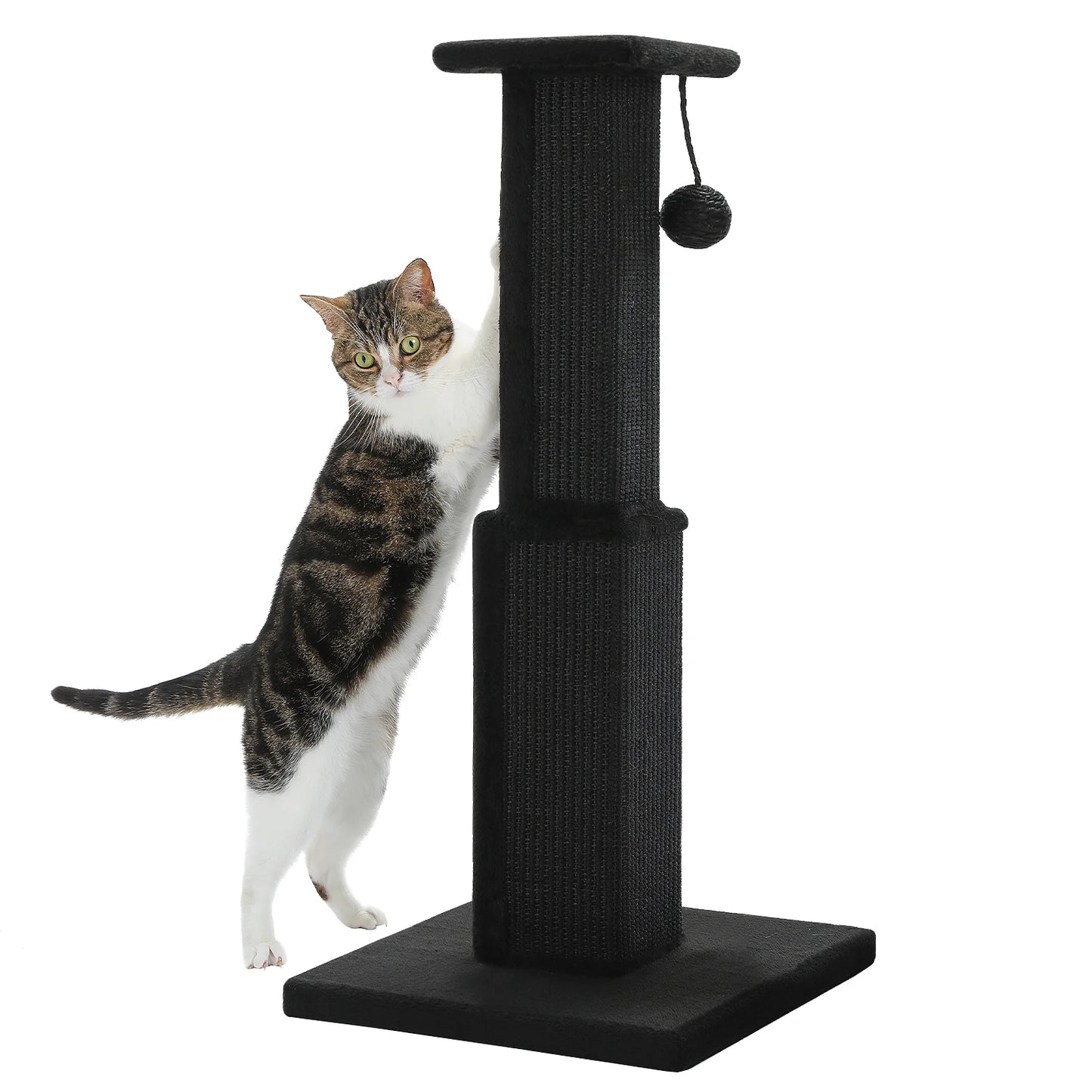 80Cm Cat Scratching Post for Indoor Cats with Natural Sisal Ball Tall Scratcher for Large Cats and Kittens Pet Toys - Joanie B 25