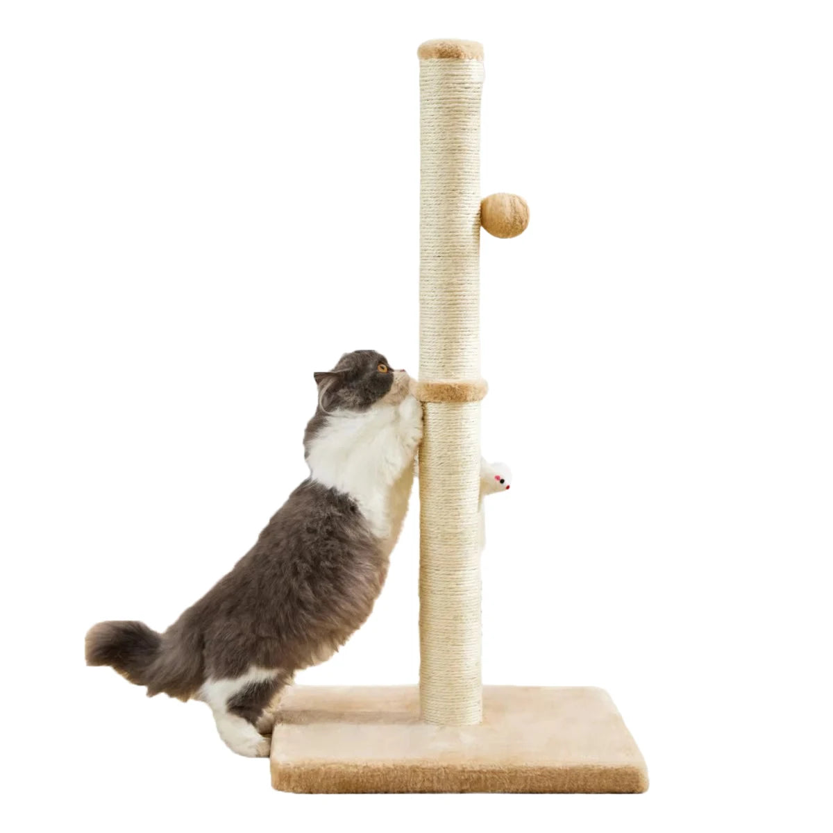 32 Inch Tall Cat Scratching Post for Indoor Cats with Two Hanging Balls and Sisal Rope - Joanie B 25
