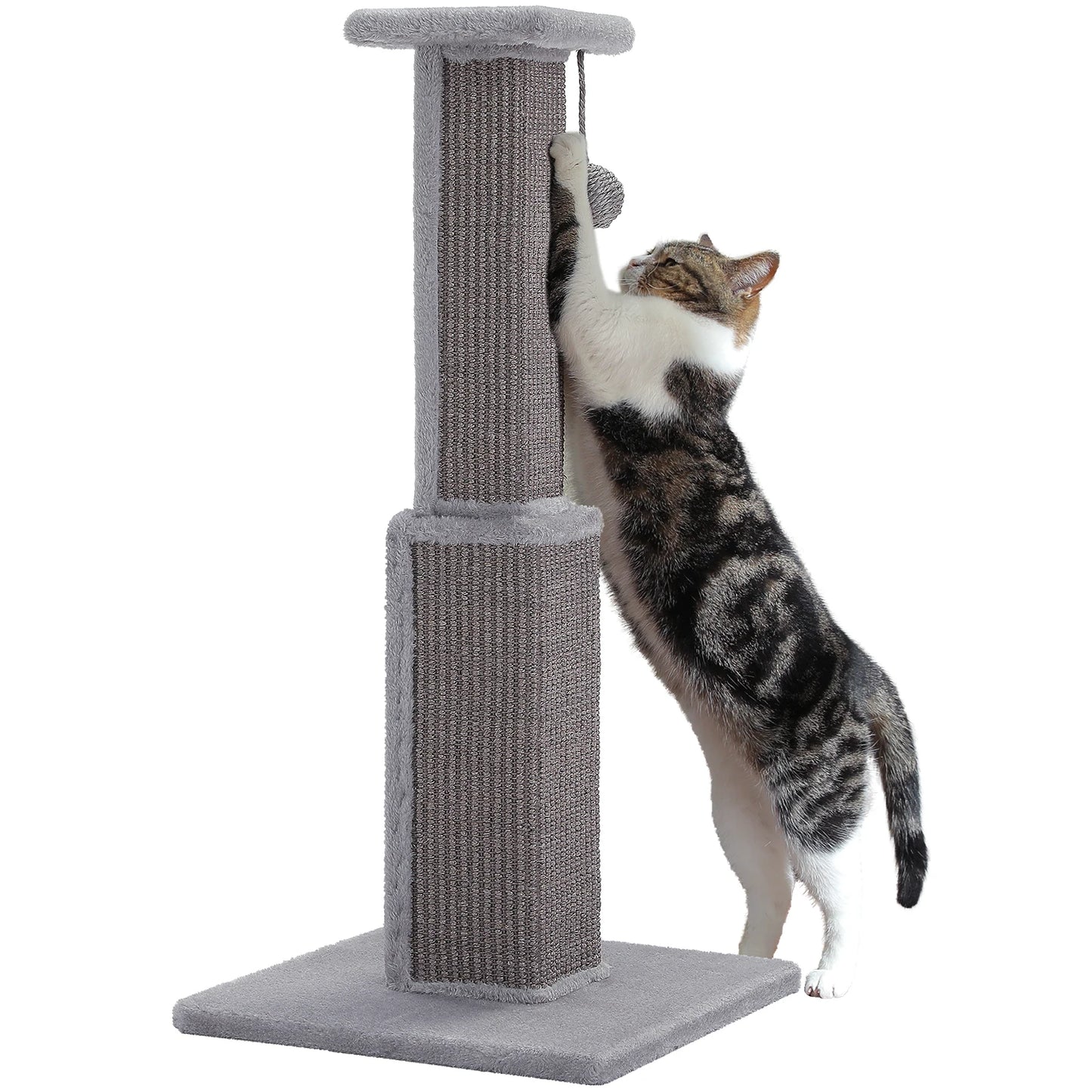 80Cm Cat Scratching Post for Indoor Cats with Natural Sisal Ball Tall Scratcher for Large Cats and Kittens Pet Toys - Joanie B 25