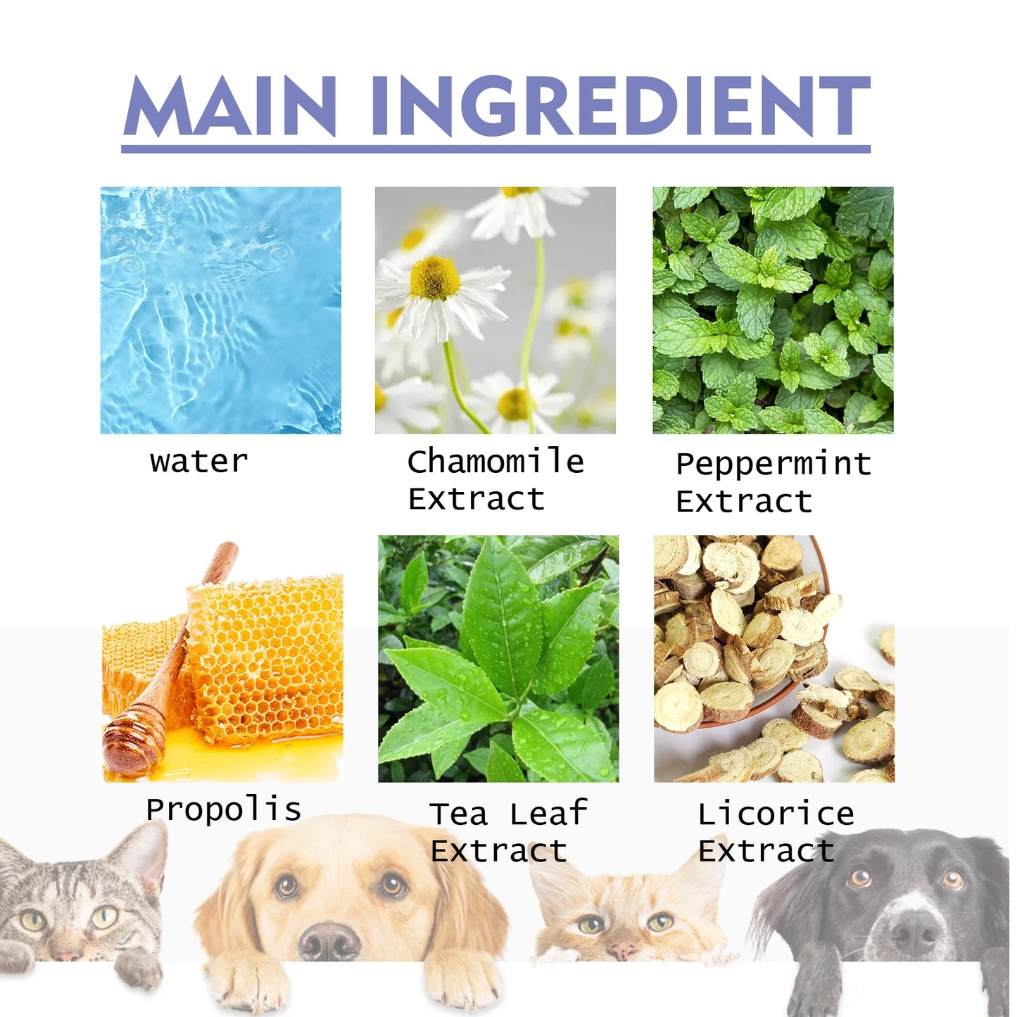 1-4PCS Yegbong Dog and Cat Teeth Cleaning Spray Pet Oral Hygiene Breath Freshening and Deodorizing Pet Supplies - Joanie B 25