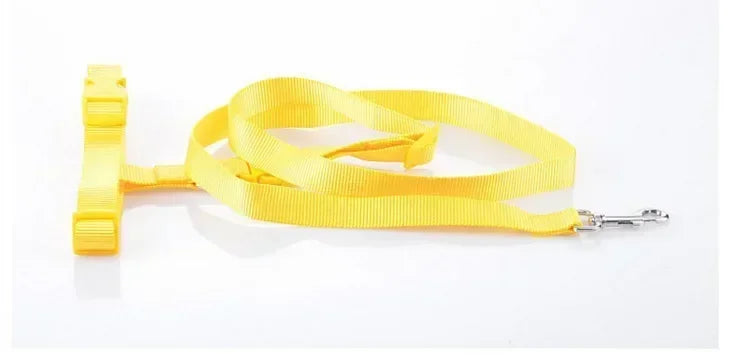 Adjustable Hands Free Dog Leash with Waist Belt and Traction Rope for Running Walking Pets - Joanie B 25