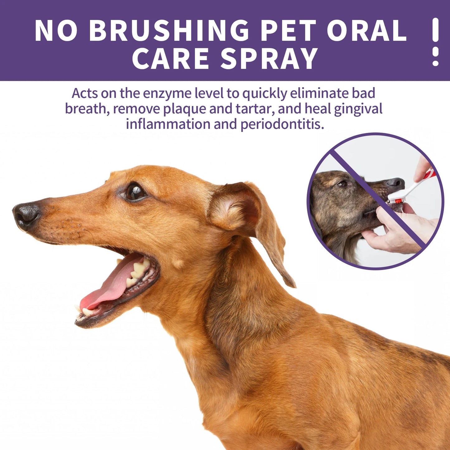 1-4PCS Yegbong Dog and Cat Teeth Cleaning Spray Pet Oral Hygiene Breath Freshening and Deodorizing Pet Supplies - Joanie B 25