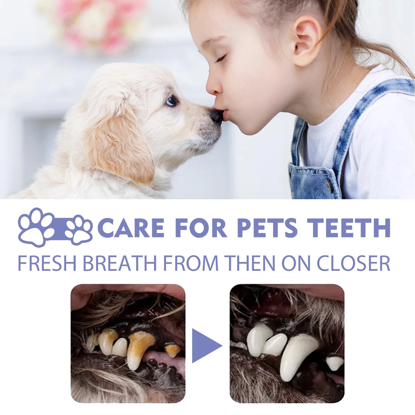 1-4PCS Yegbong Dog and Cat Teeth Cleaning Spray Pet Oral Hygiene Breath Freshening and Deodorizing Pet Supplies - Joanie B 25