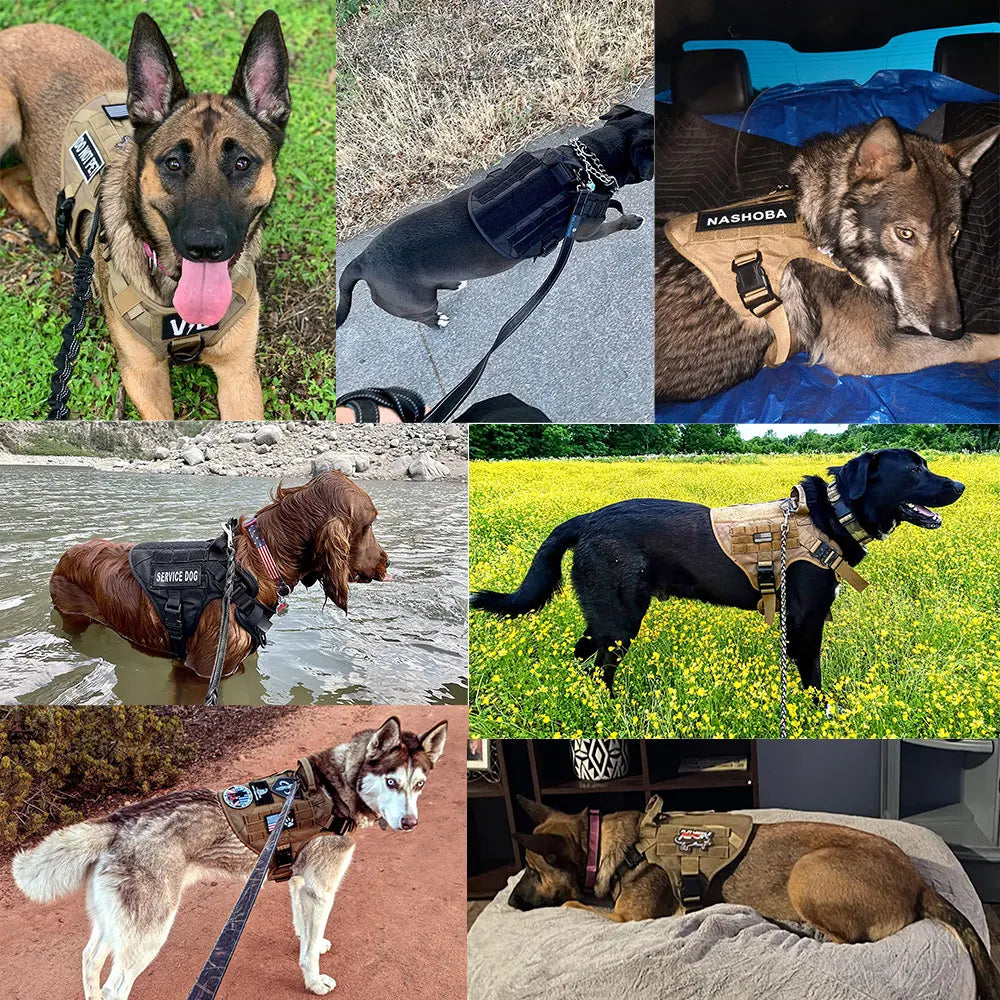 Large Dog Harness and Leash Set for German Shepherd and Malinois Training Walking Vest with Collar and Padded Breathable Mesh for Medium and Large Dogs - Joanie B 25