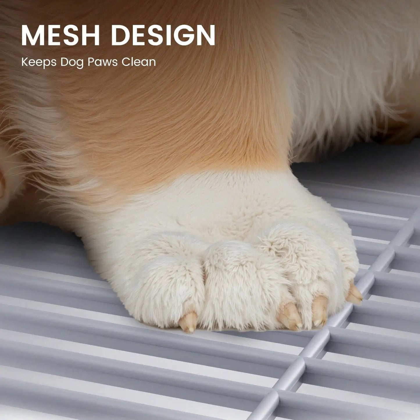 Indoor Dog Potty Tray with Protection Wall | Every Side for No Leak Keep Paws Dry and Floors Clean