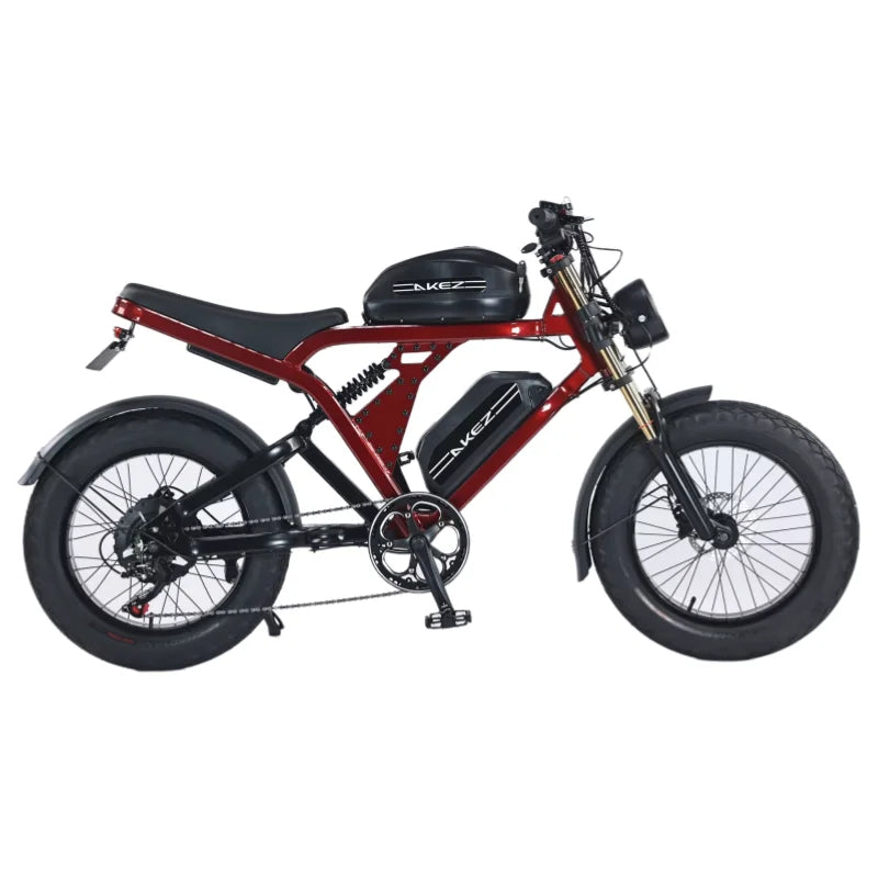 US Stock 1500W 48V Fat Tire Electric Bike for Adults Off Road Dual Battery Mountain All Terrain - Joanie B 25