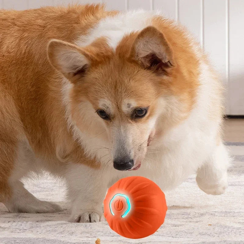 Automatic Moving Dog Toy Ball with USB Charging Rotating Interactive Chew Toy for Puppies Pet Toys Accessories - Joanie B 25