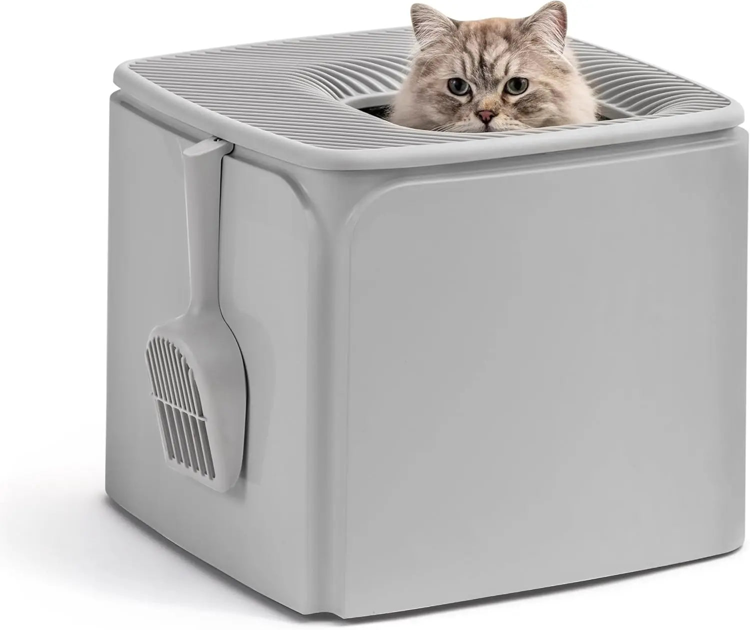 USA Premium Top Entry Cat Litter Box with Scoop Square Enclosure for Cats and Kittens - Joanie B 25