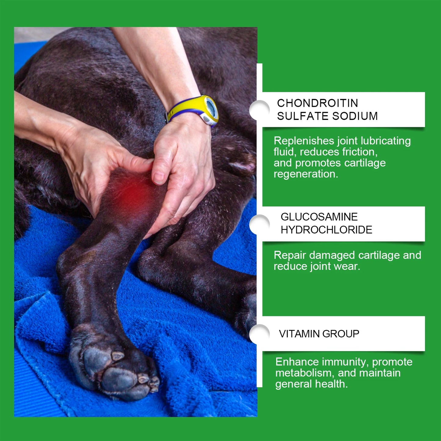 Pet Joint Care Tablets Various Nutrients for Dog Relieve Joint Discomfort Maintain flexibility Strengthen Bones Dog Supplies