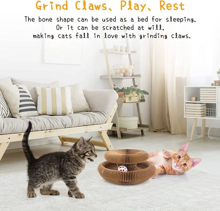 Magic Organ Cat Toy Ball Scratch Board Funny Post Toy for Cats Durable Corrugated Claw Grinding Climbing Pet Accessory - Joanie B 25