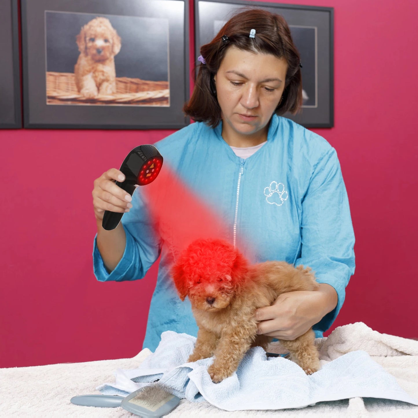 Dog Laser Therapy 808nm Portable Red Light Vet Device