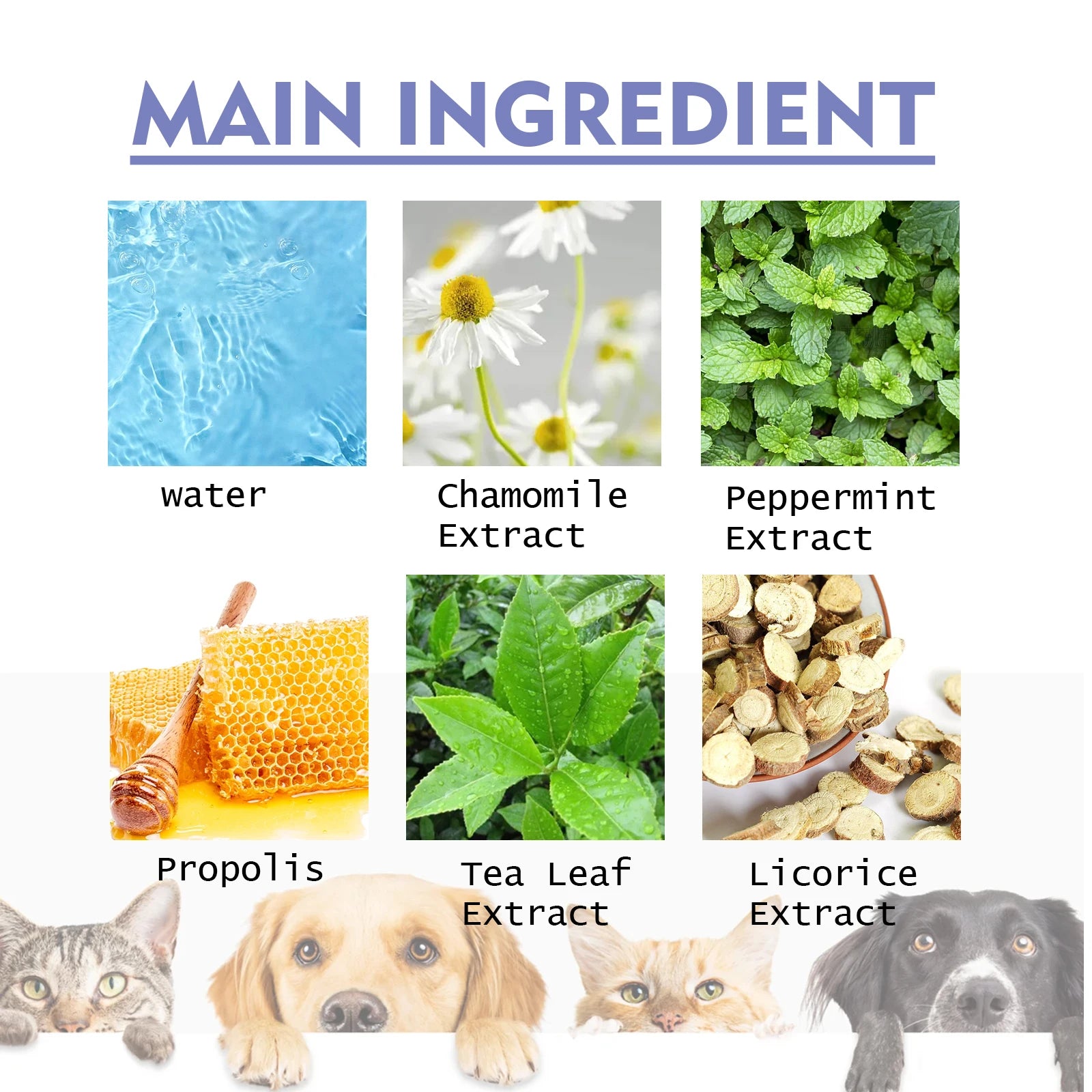 1-4PCS Yegbong Dog and Cat Teeth Cleaning Spray Pet Oral Hygiene Breath Freshening and Deodorizing Pet Supplies - Joanie B 25