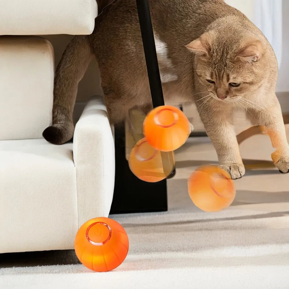 Smart Interactive Cat Toys Rechargeable Rolling Magic Ball for Pet Cats Indoor Play Kitten Toy for Cats Kitten Accessory - Joanie B 25