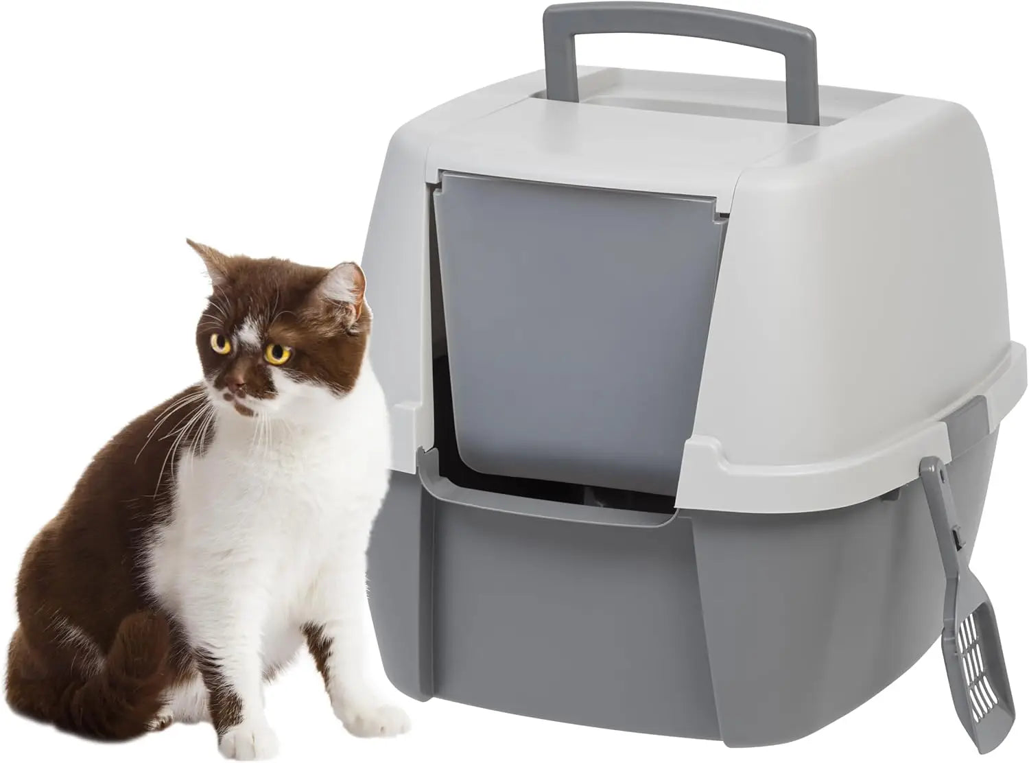 Enclosed Cat Litter Box with Front Door Flap and Scoop Covered Kitty Litter Box with Handle and Buckles - Joanie B 25