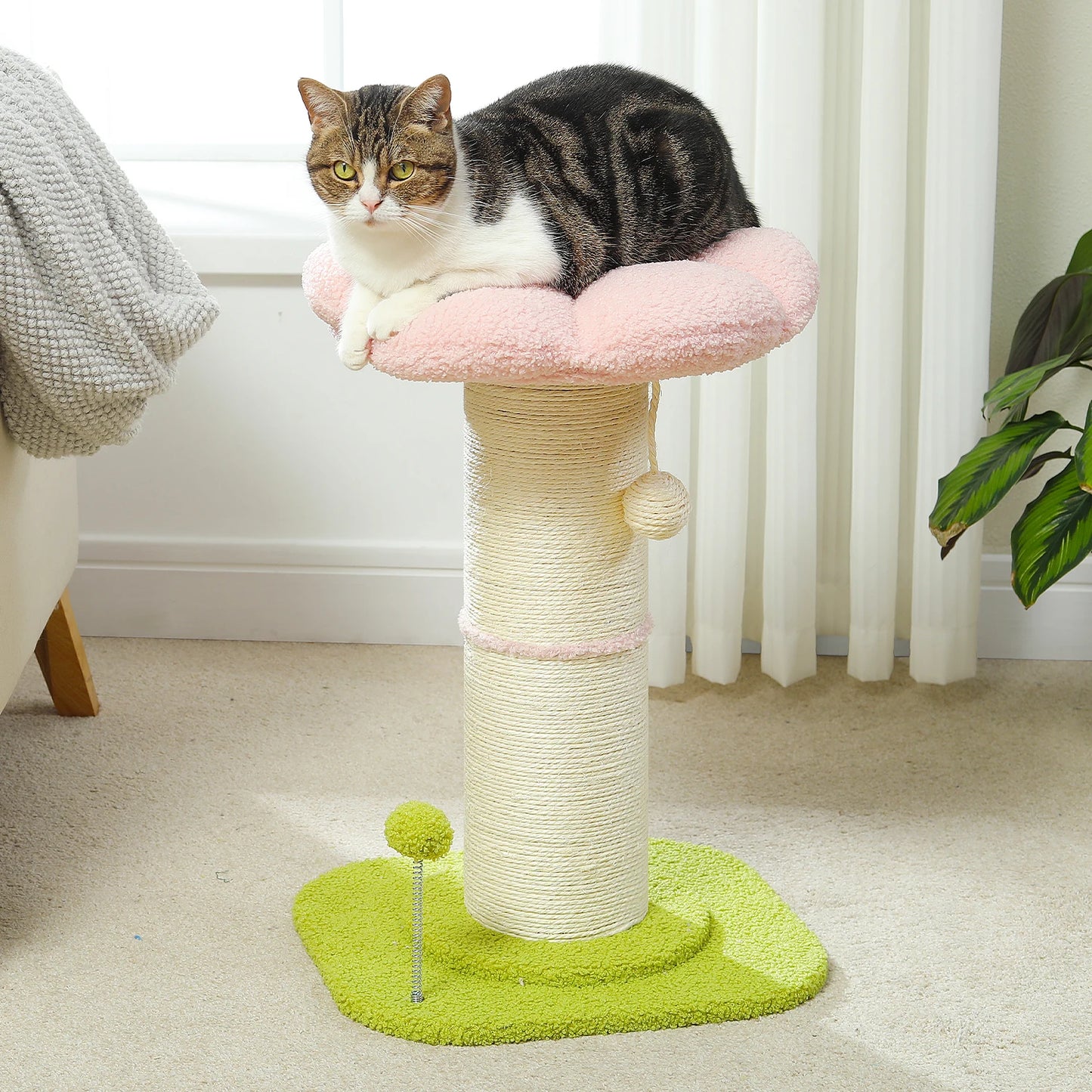 Flower Cat Scratching Post Small Cat Tree Tower with Removable Bed and Super Thick Sisal Post for Indoor Cats - Joanie B 25