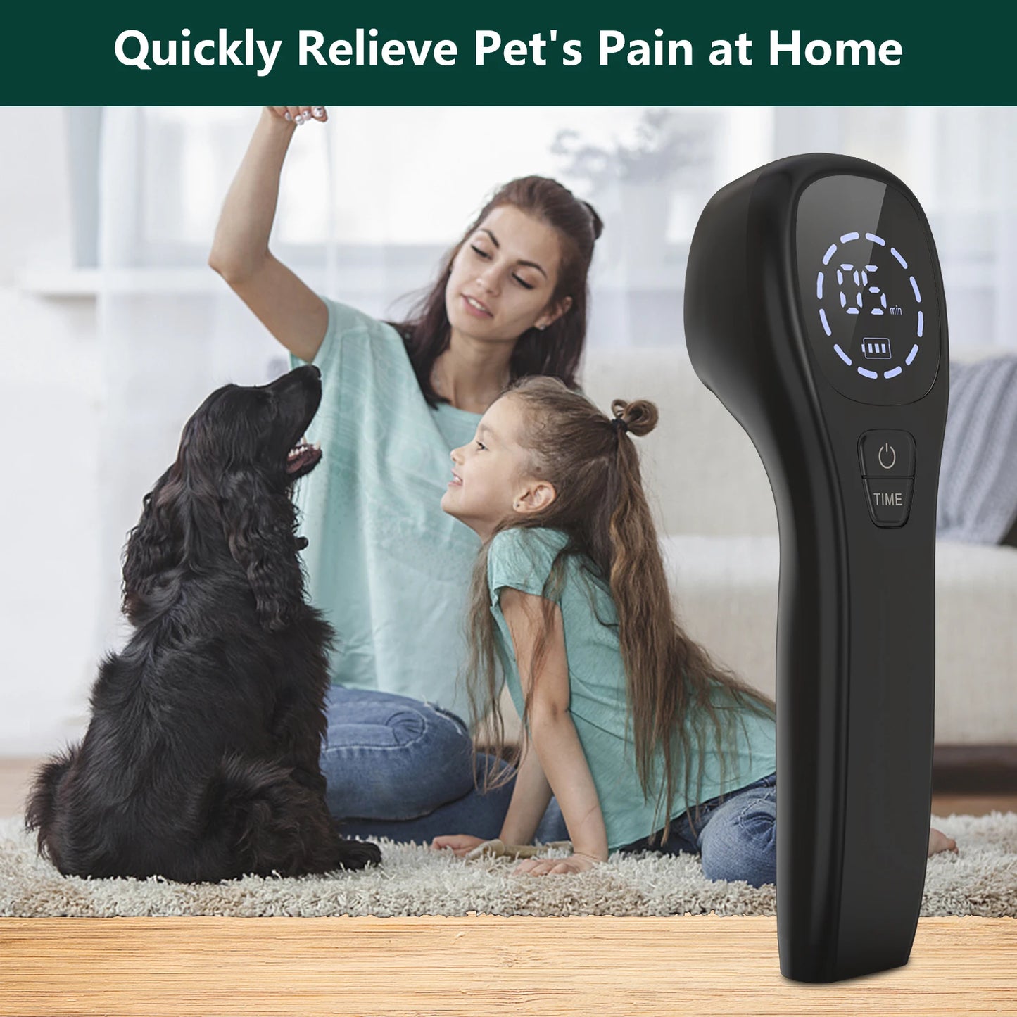 Dog Laser Therapy 808nm Portable Red Light Vet Device