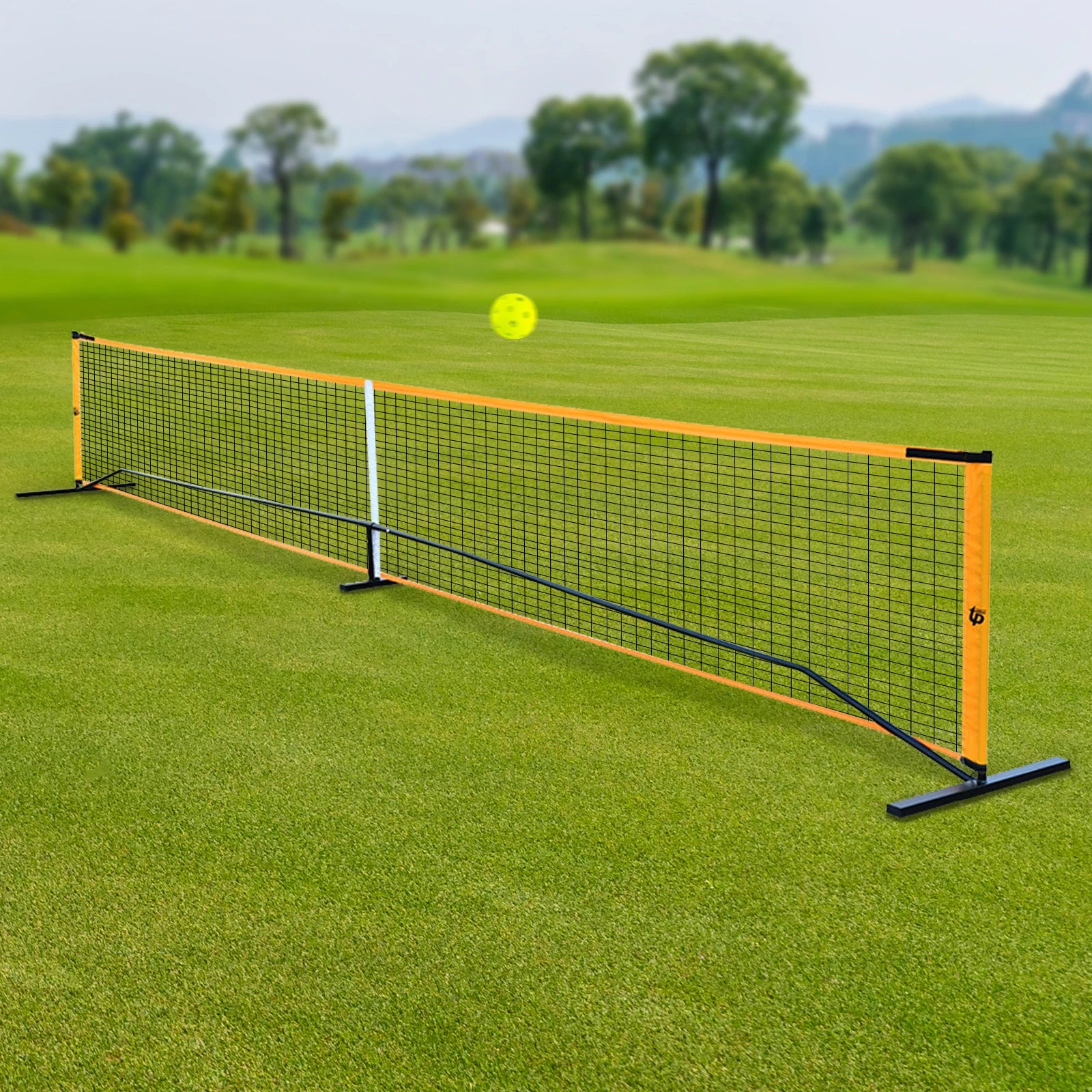 Portable Pickleball Net Set with Four Paddles and Balls for Outdoor Indoor Play Suitable for Badminton and Tennis - Joanie B 25