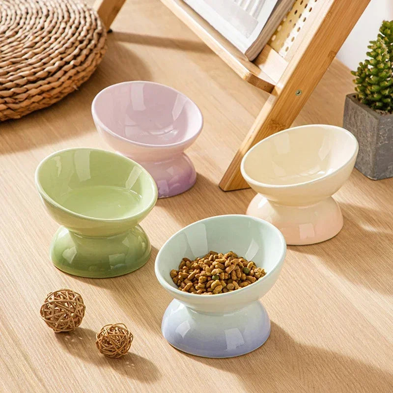 Tilted Gradient Ceramic Cat and Puppy Food and Water Bowl Raised Feeding Dish for Small Pets - Joanie B 25